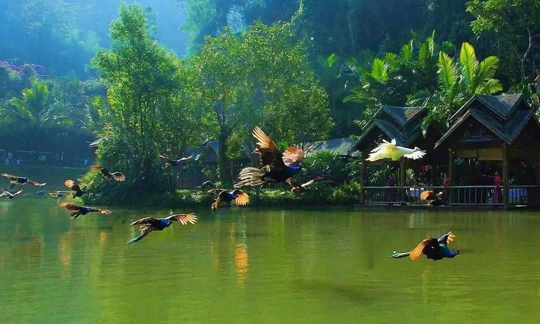 救援水管工