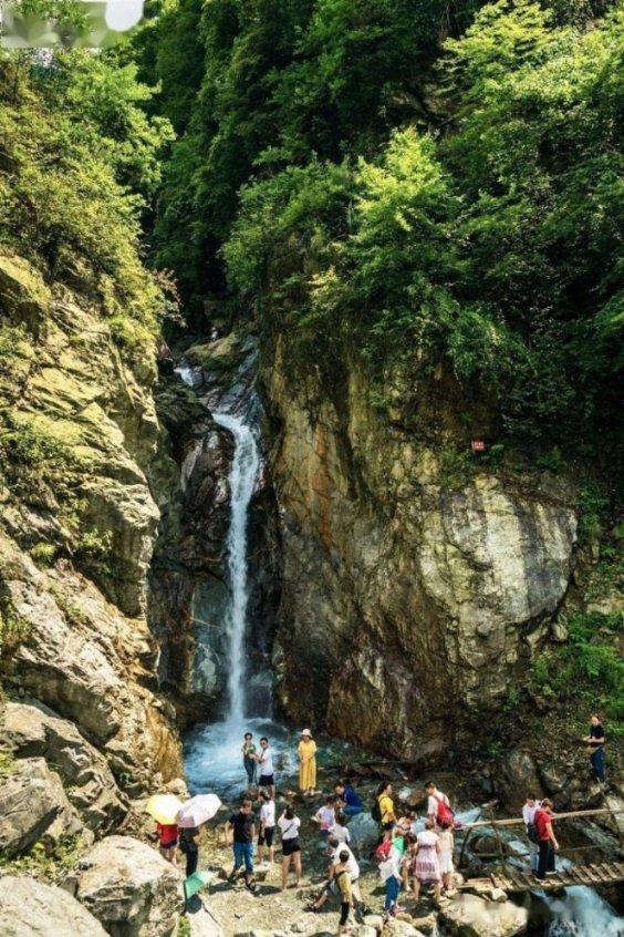 沪江开心词场